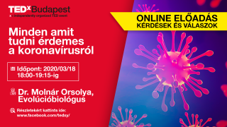 Ingyenes online előadás - #koronavirus
